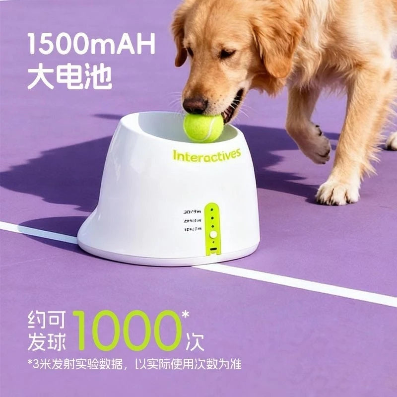 Automatic Tennis Ball Launcher for Dogs