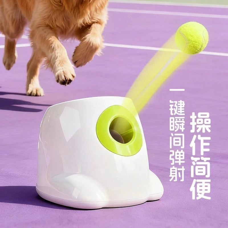Automatic Tennis Ball Launcher for Dogs