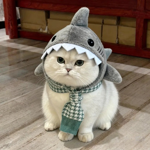 Cat wearing shark hood in a box