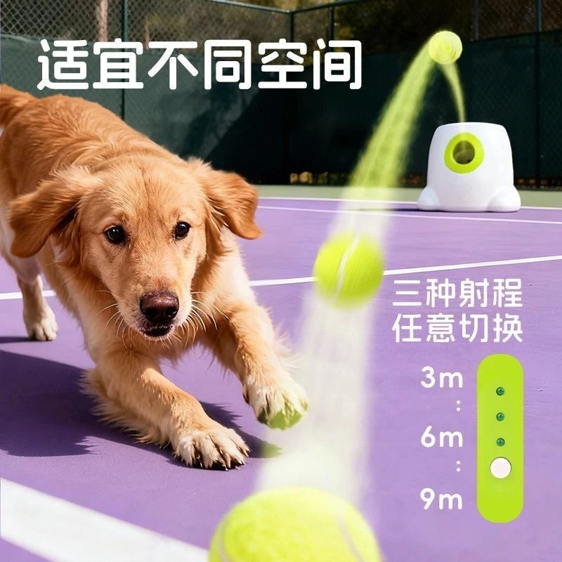 Automatic Tennis Ball Launcher for Dogs